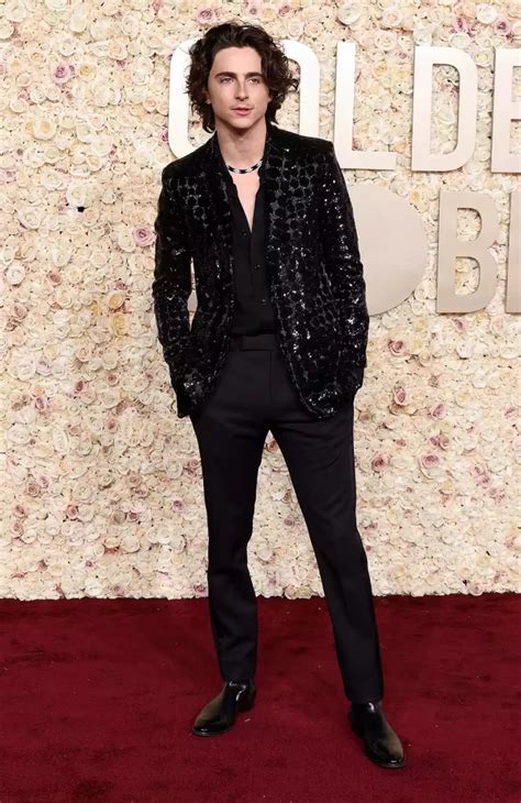 chalamet wears celine hedi slimane|chalamet red carpet looks.